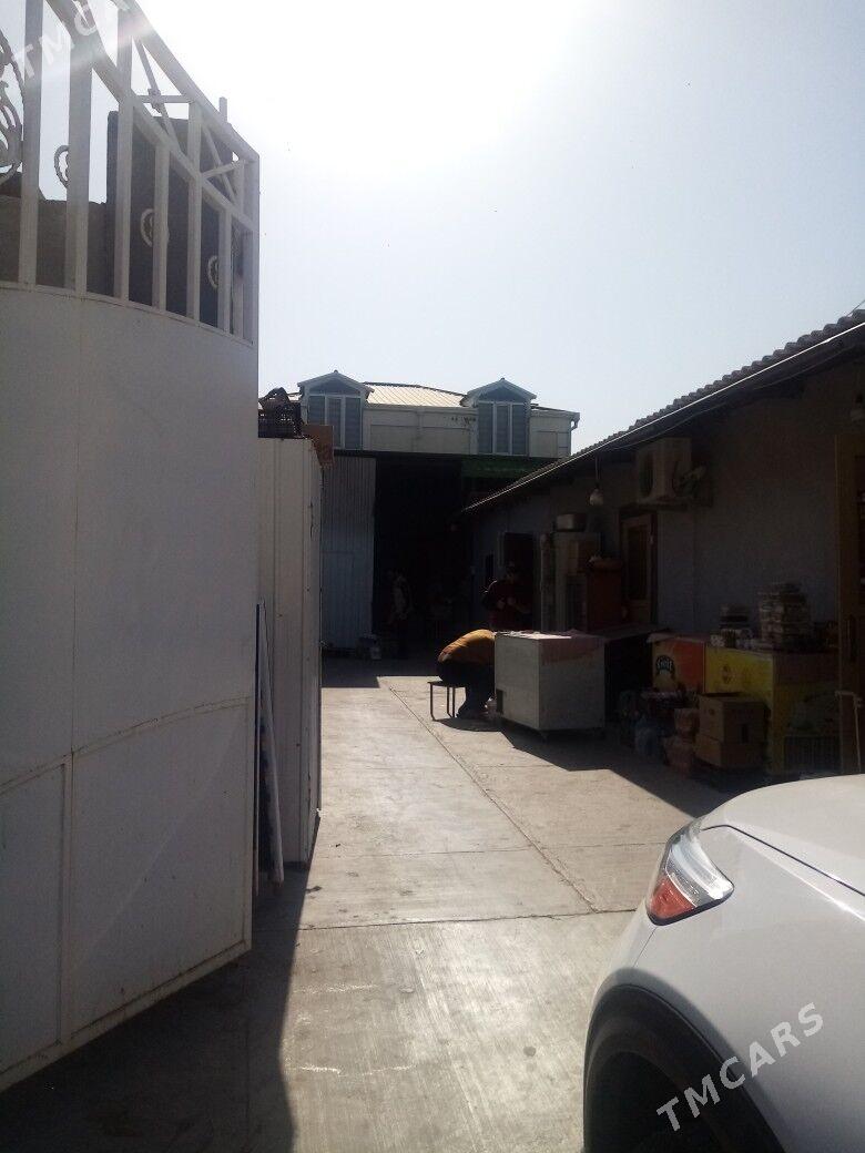 Coganly 230 kw.m 55 - Чоганлы - img 2