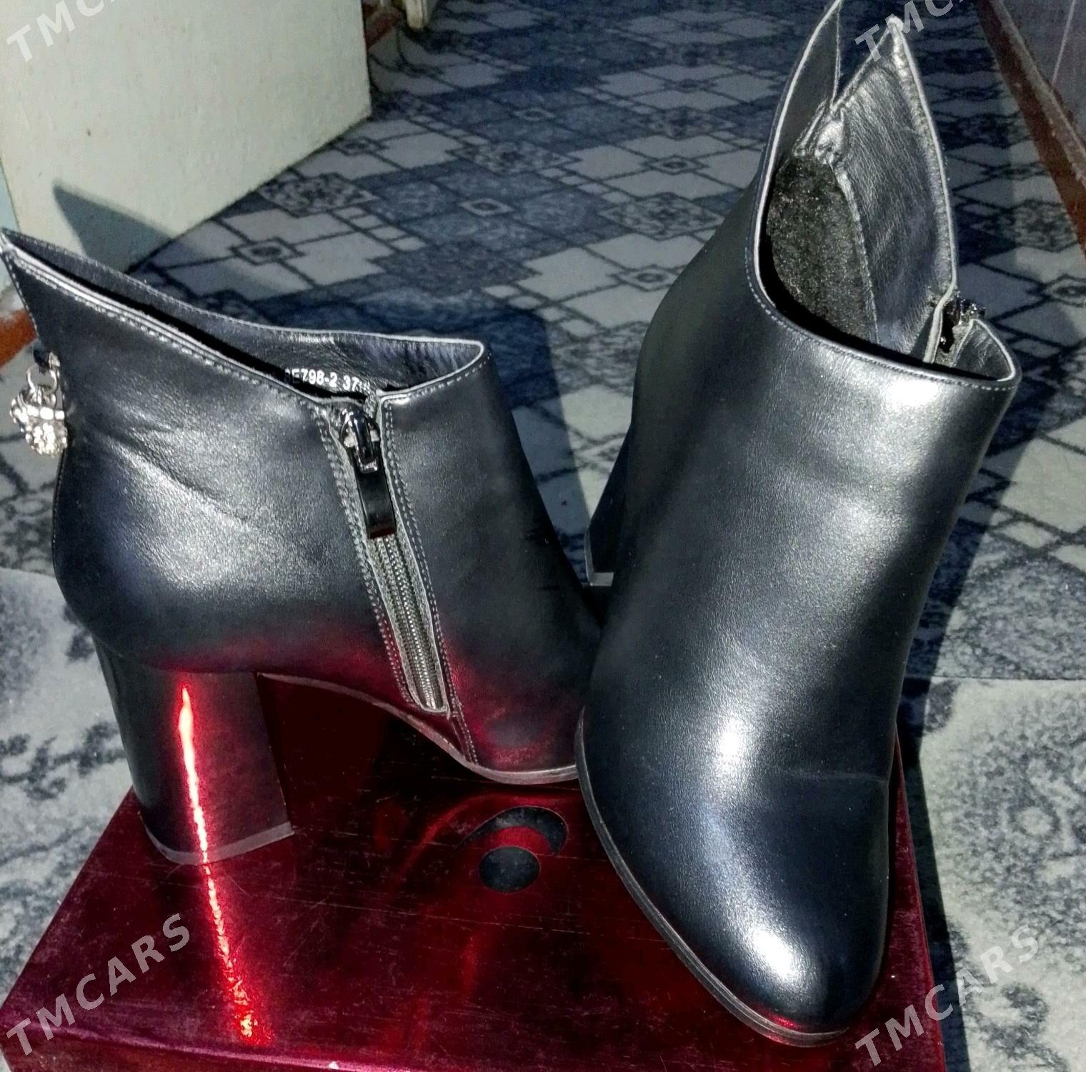 adik - Daşoguz - img 1