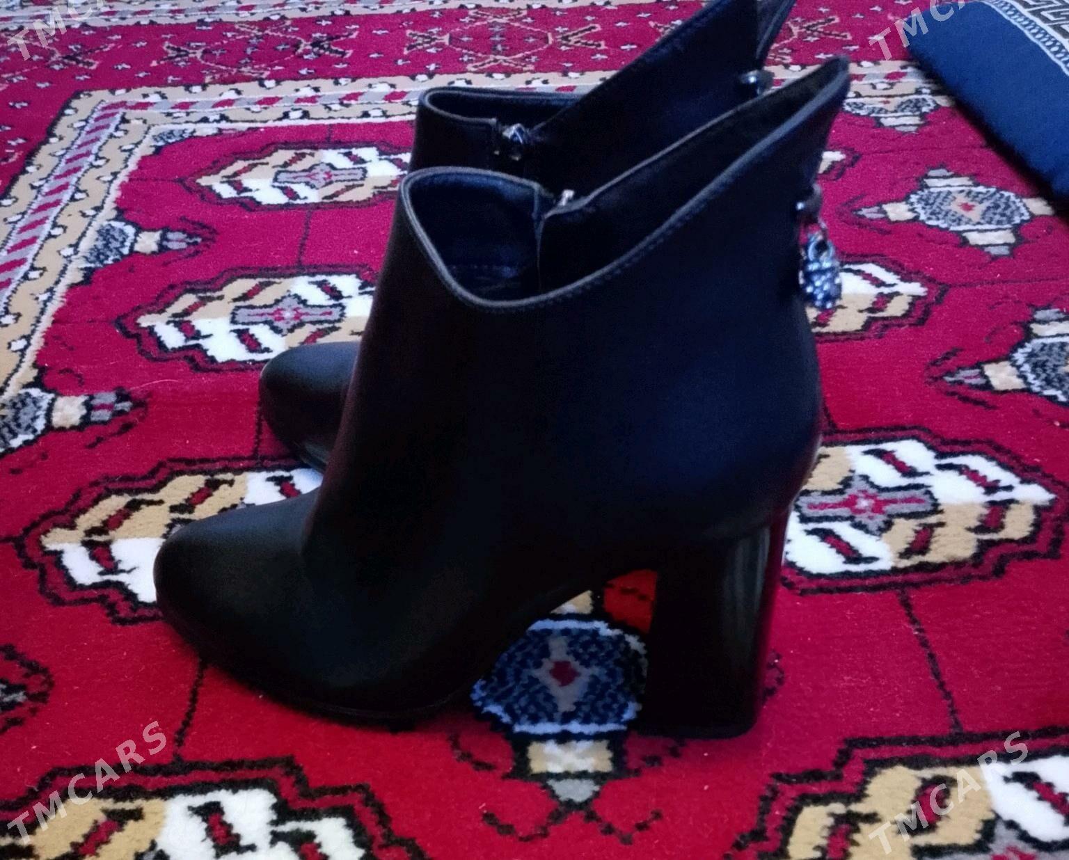 adik - Daşoguz - img 2