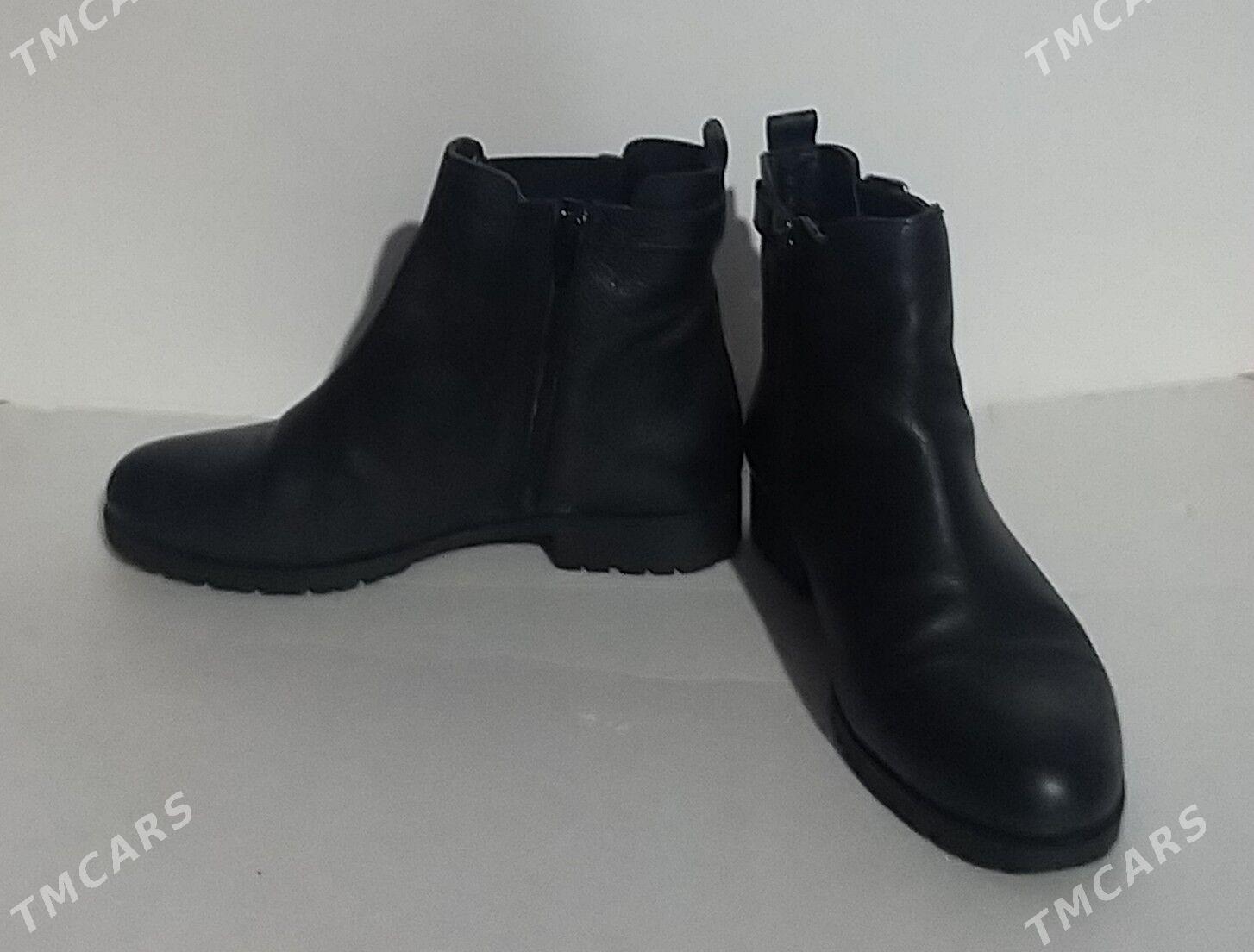 Àdik - Daşoguz - img 1