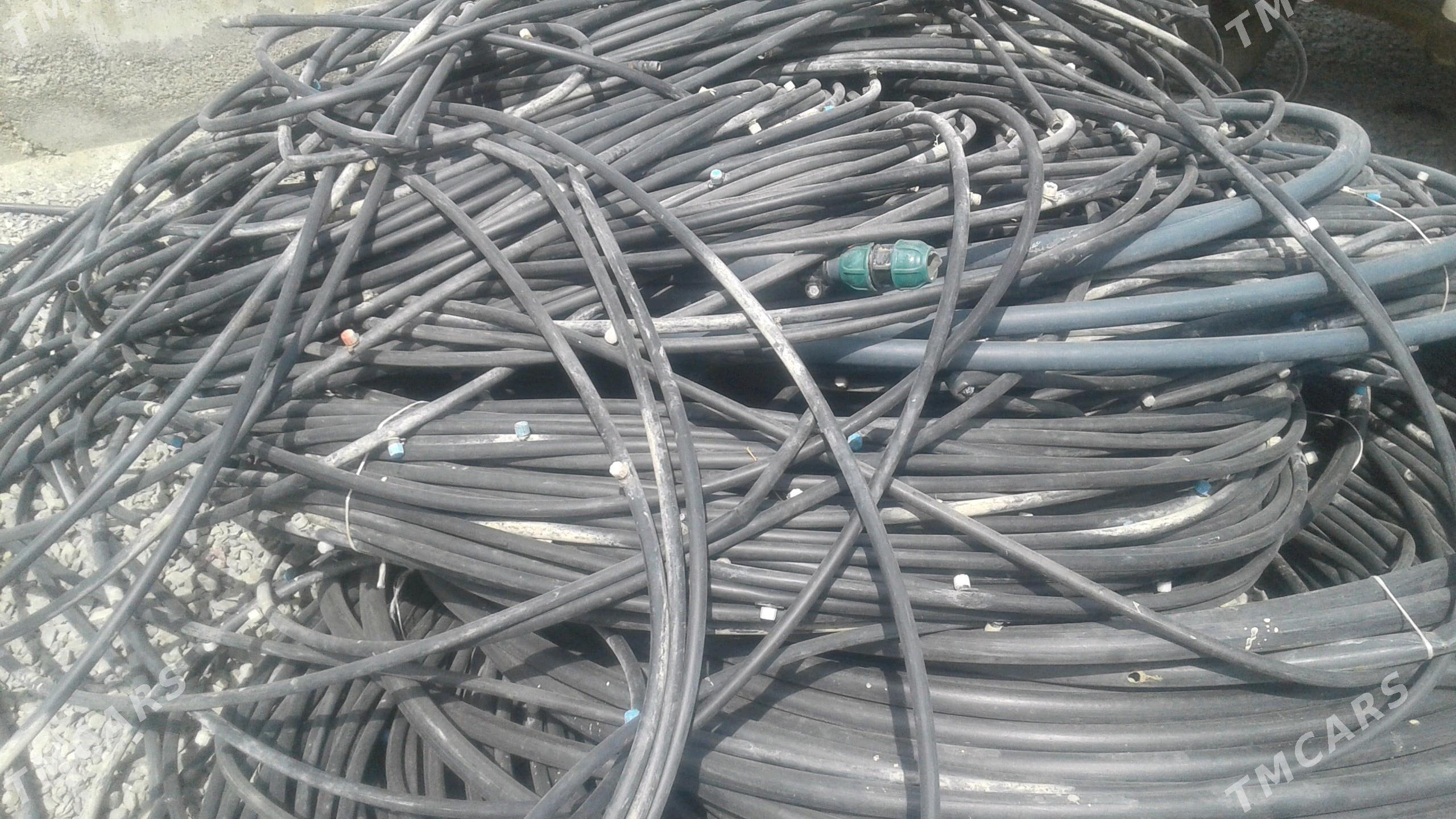 damja yşlanga - Бахарден - img 4