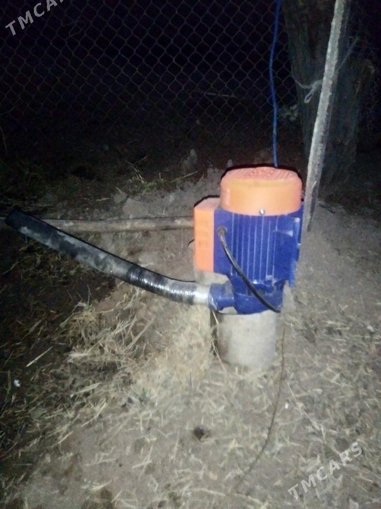 guýy gazýarys - Baýramaly - img 2