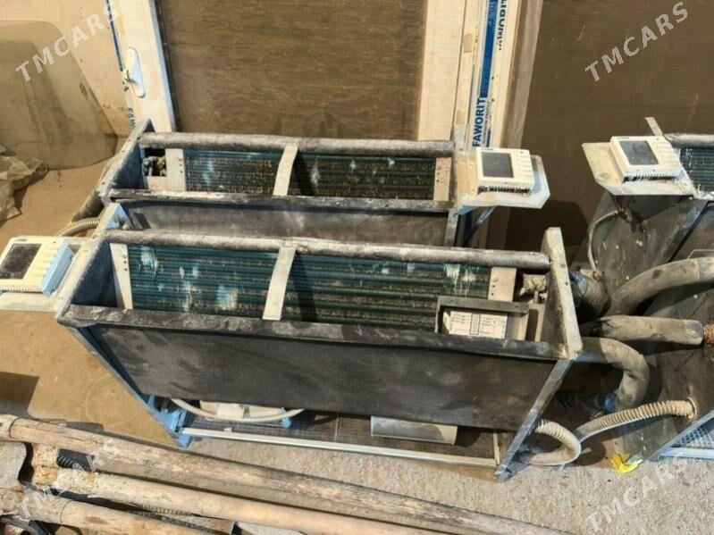 York fankoil - Bekrewe - img 1