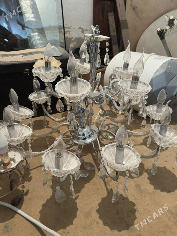 lyustralar - Bekrewe - img 1