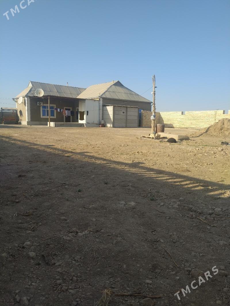 12 sotka Jay - Murgap - img 9