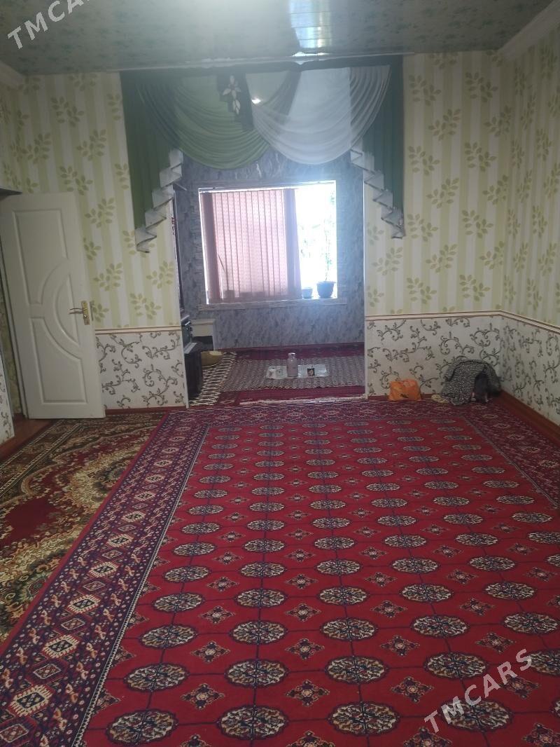 12 sotka Jay - Murgap - img 10