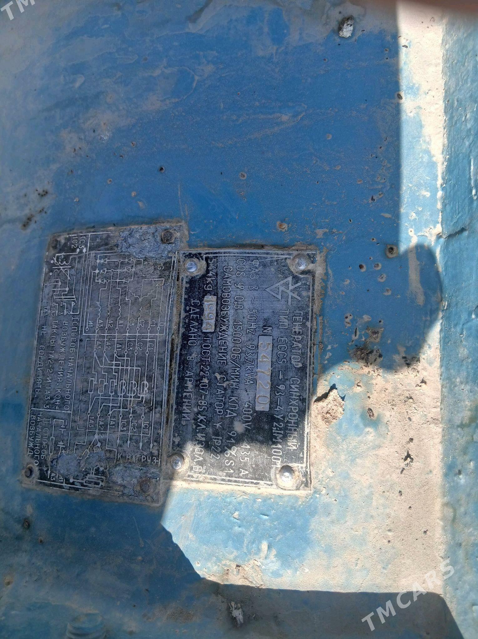 Generator - Mary - img 2