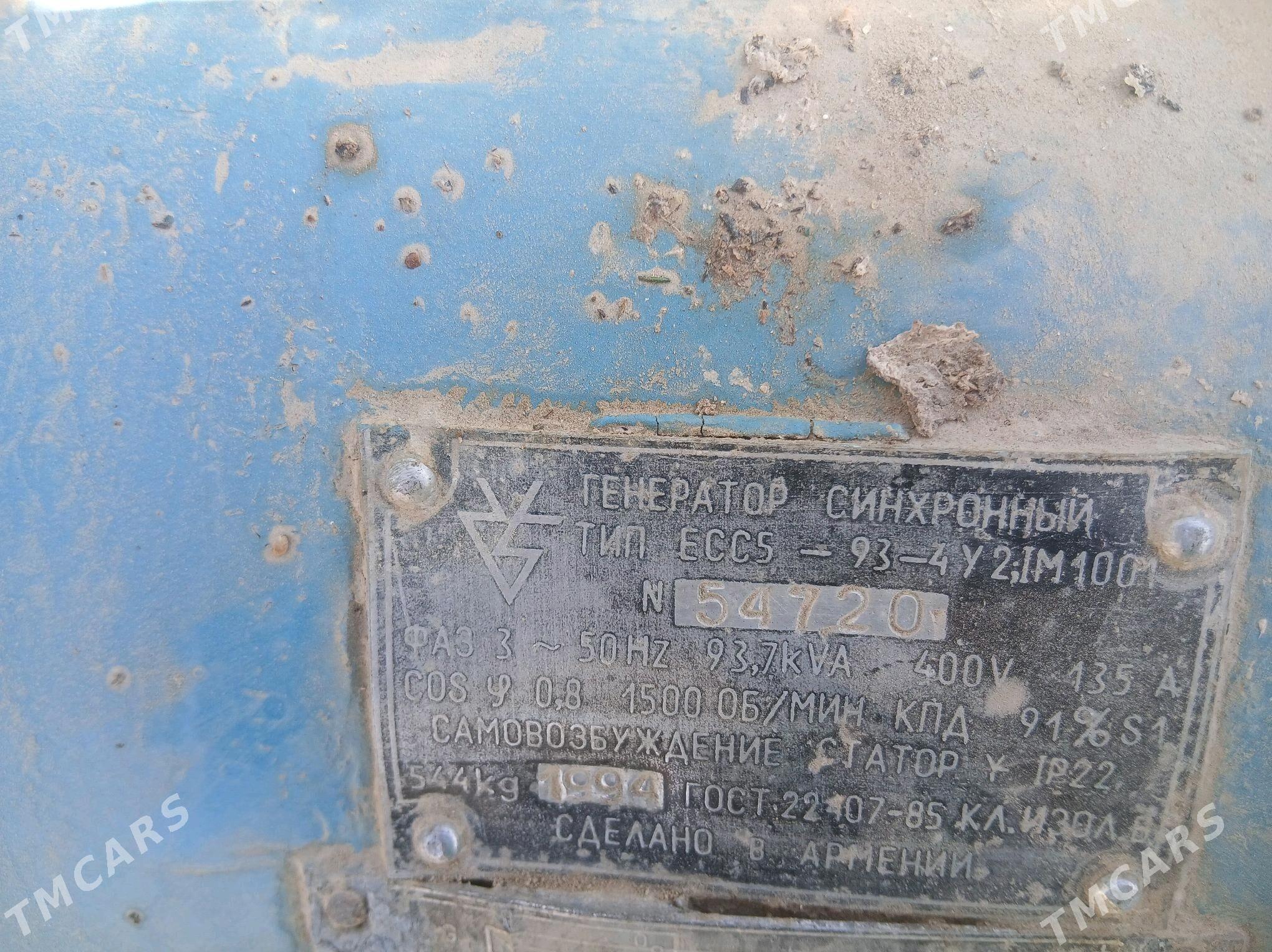 Generator - Mary - img 4