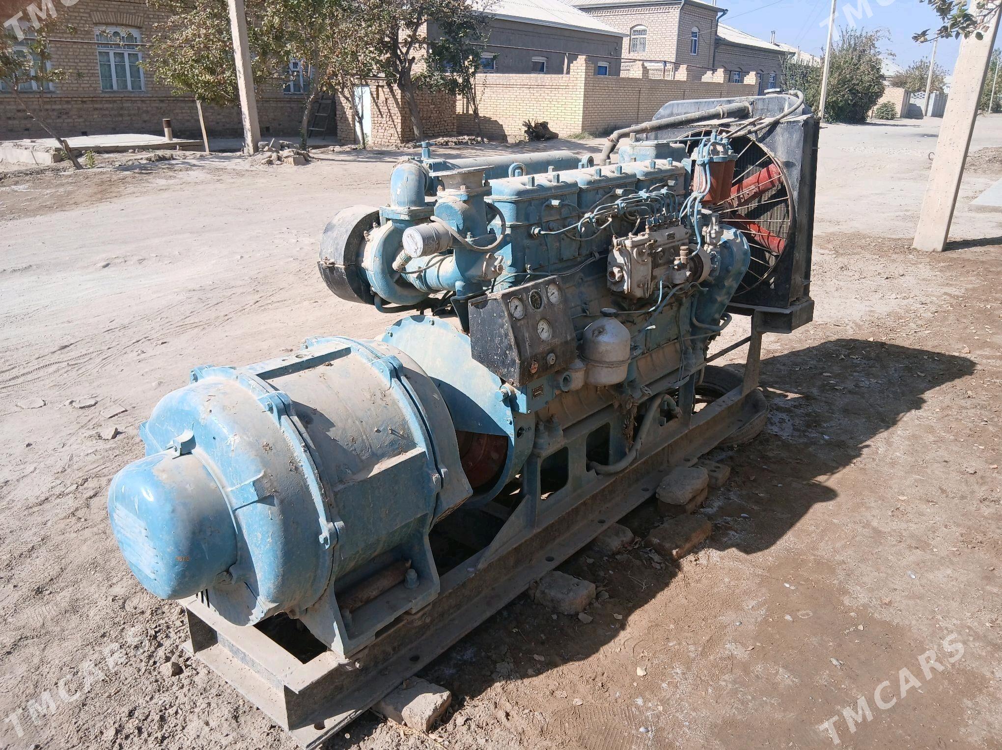 Generator - Mary - img 5