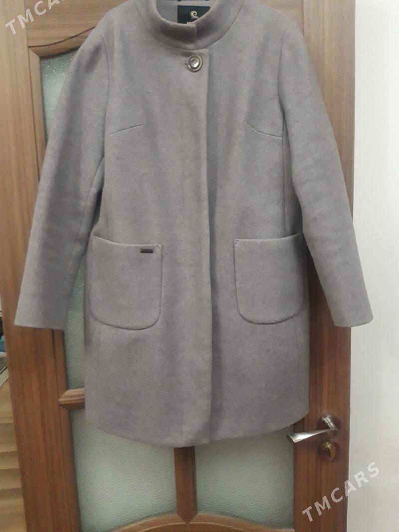 palto - Saýat - img 3