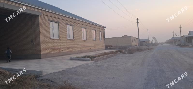 satlyk jaÿ - Garabekewül - img 4