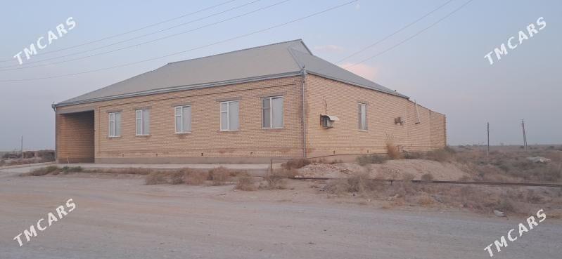 satlyk jaÿ - Garabekewül - img 3