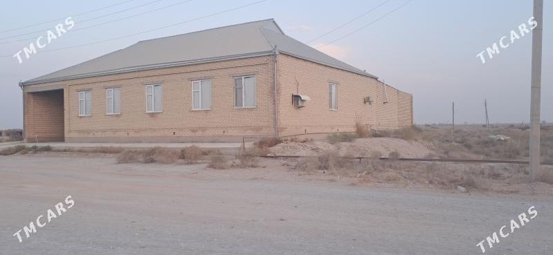 satlyk jaÿ - Garabekewül - img 6