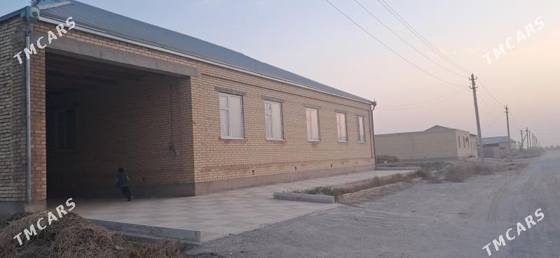 satlyk jaÿ - Garabekewül - img 5