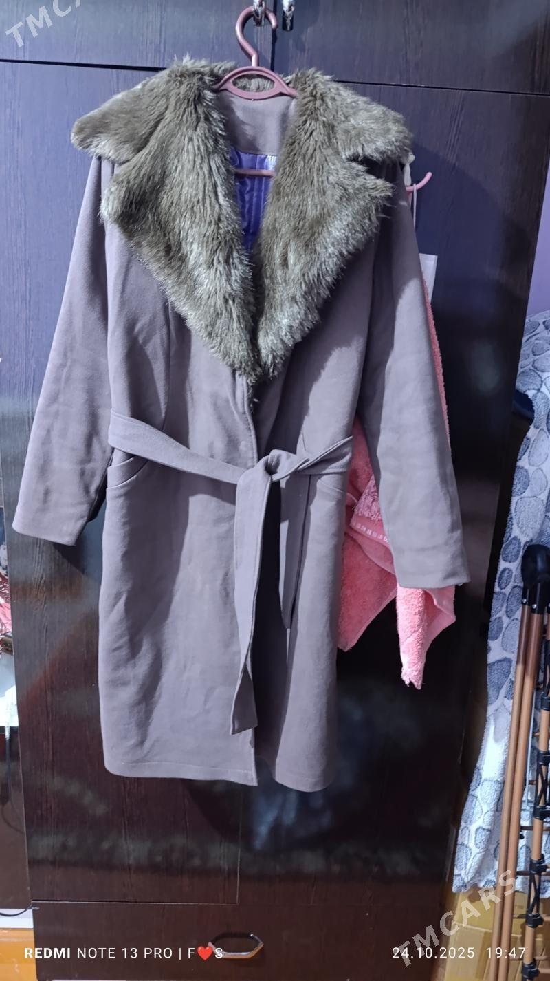 palto - Daşoguz - img 3