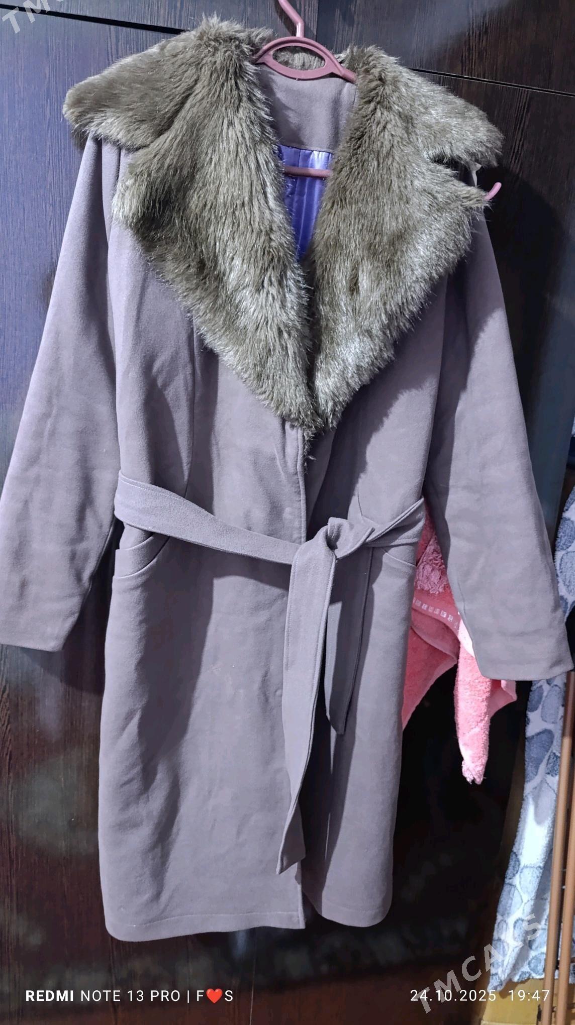 palto - Daşoguz - img 4