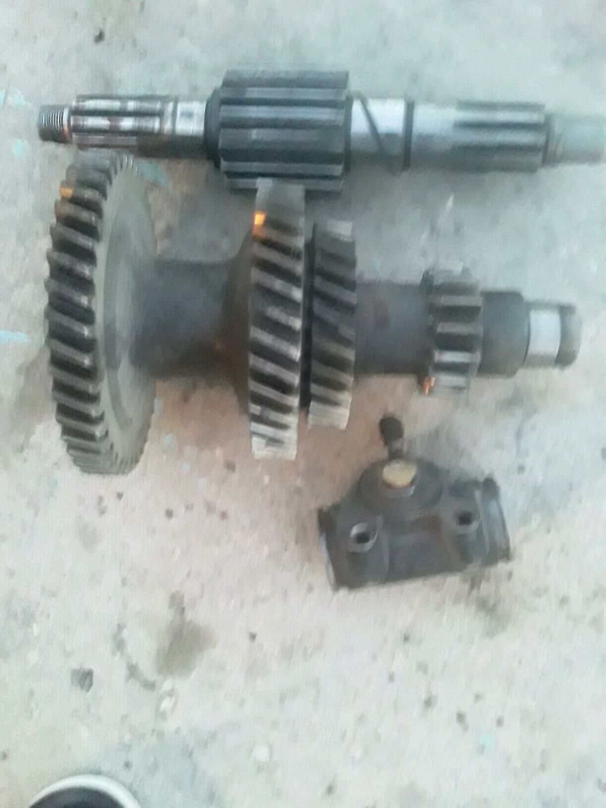 53 karopg dişi 2 TMT - Bereket - img 3