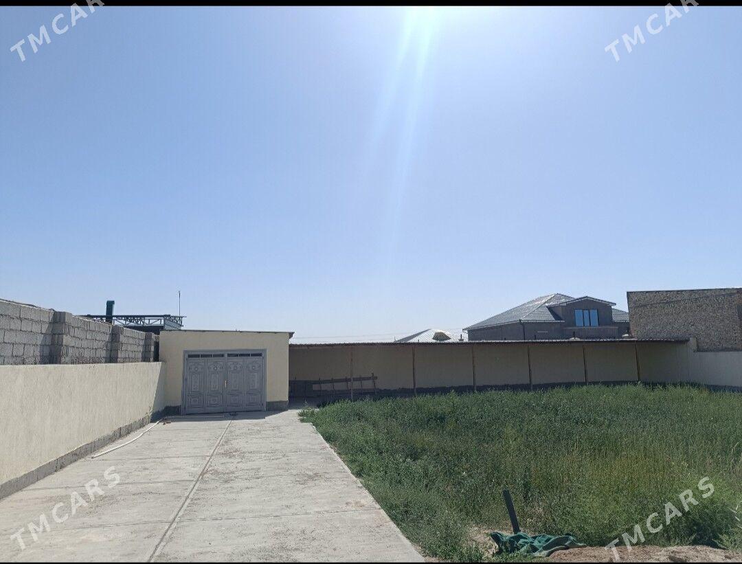 panahan jay - Daşoguz - img 2