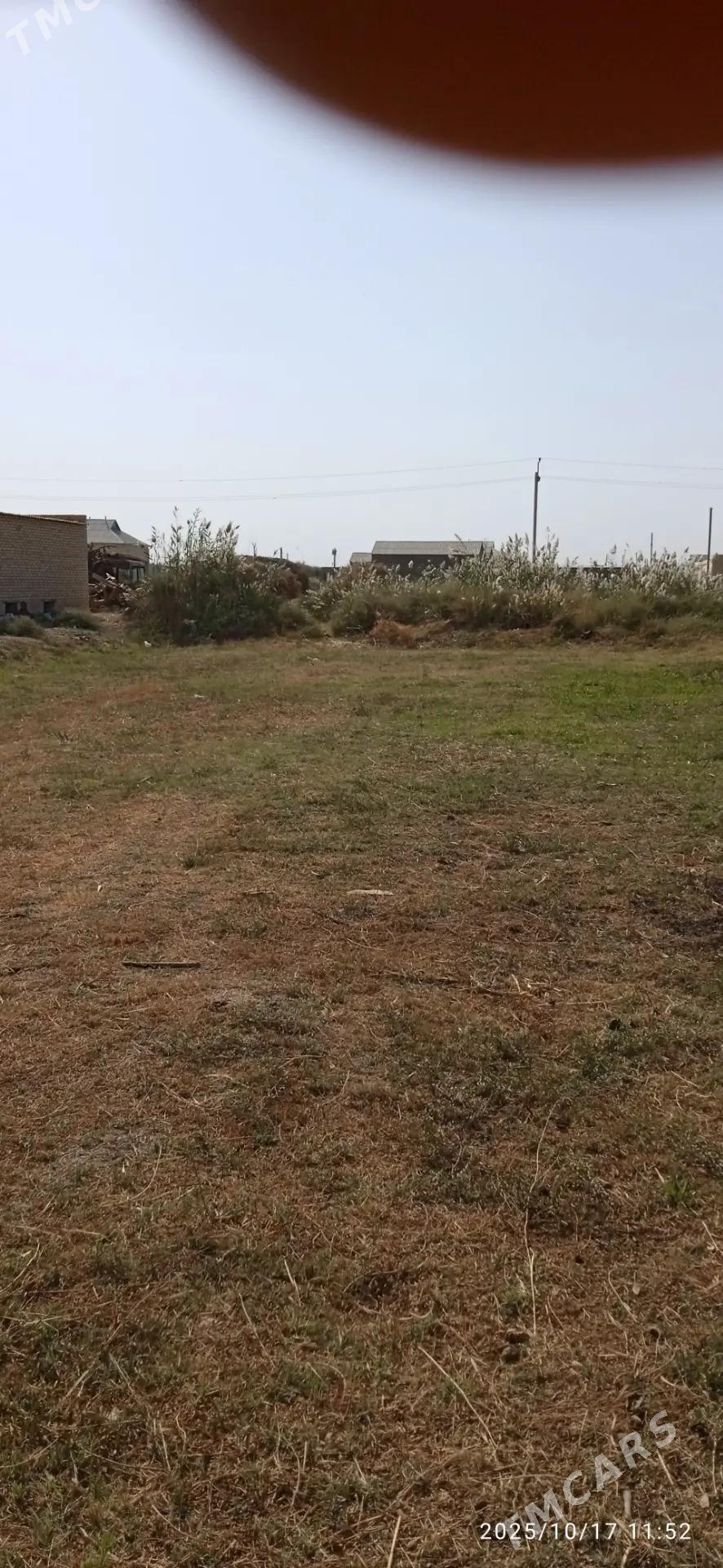 mellek satlyk - Сакарчага - img 1