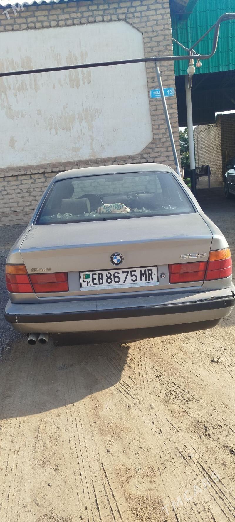 BMW 525 1990 - 50 000 TMT - Sakarçäge - img 4