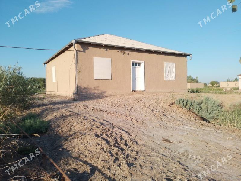 satlyk jaylar - Гурбансолтан Едже - img 2