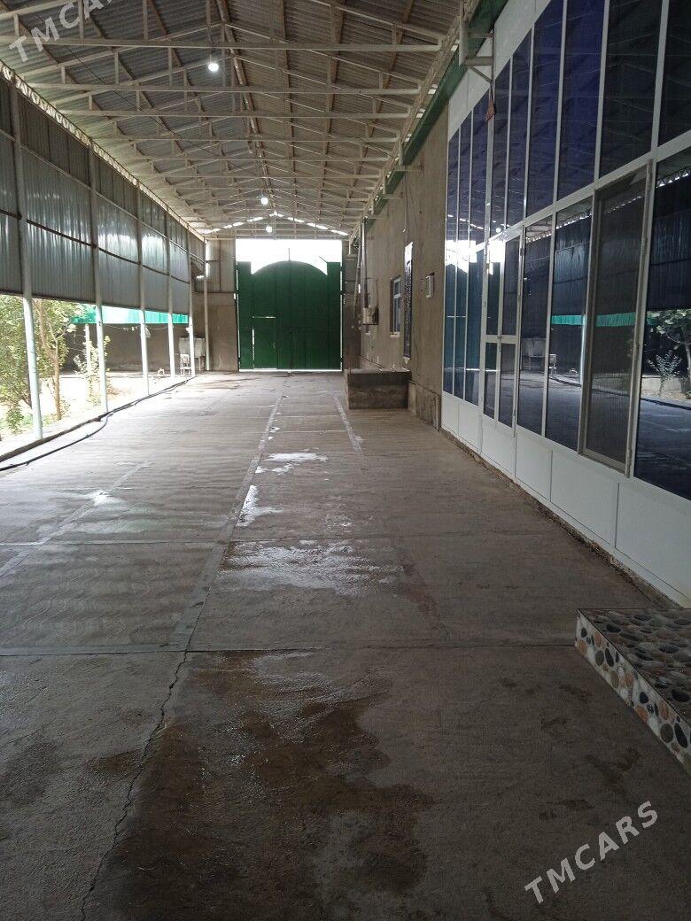 Квартира план - Tejen - img 2