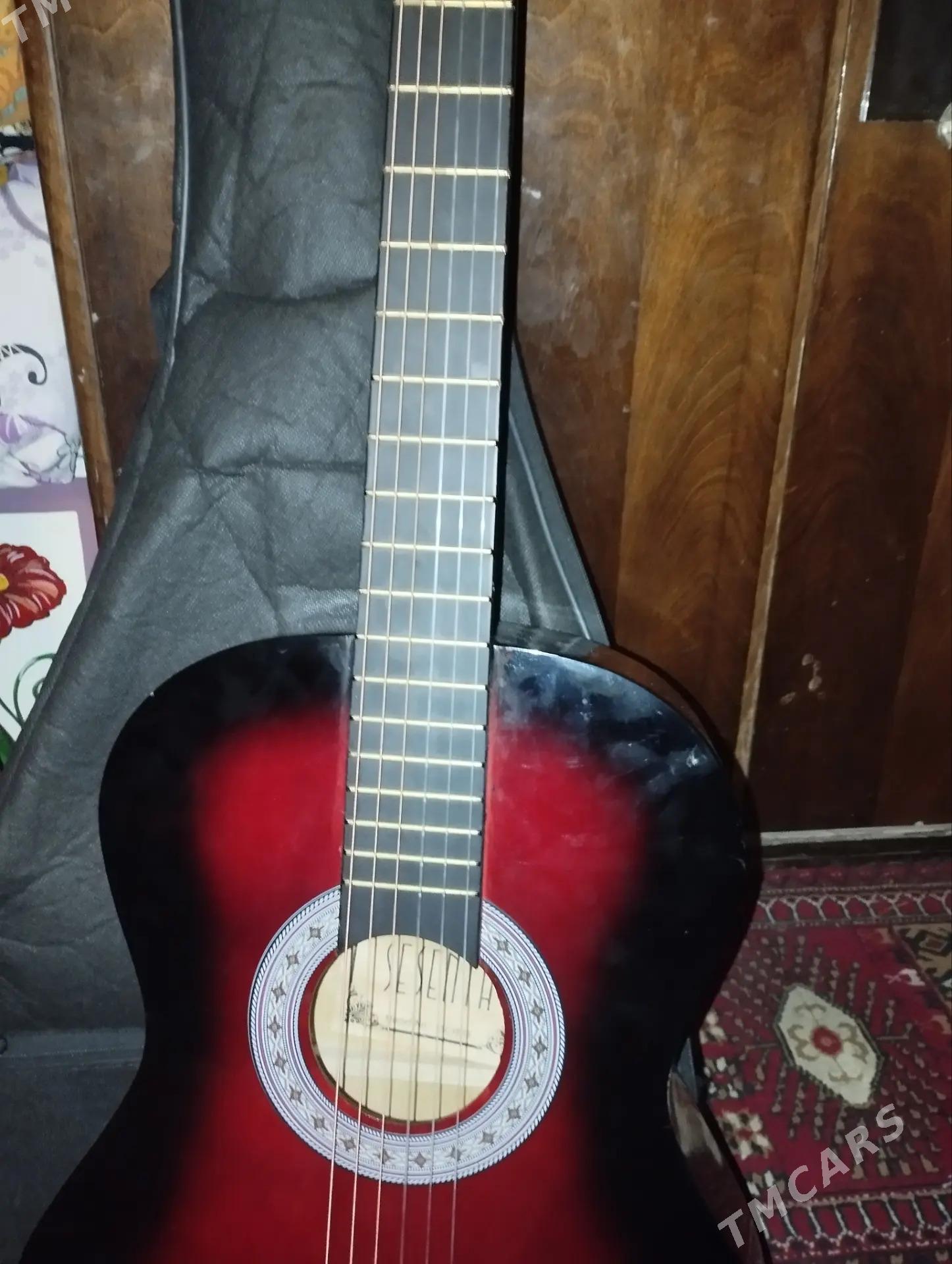 Gitara - Dänew - img 4