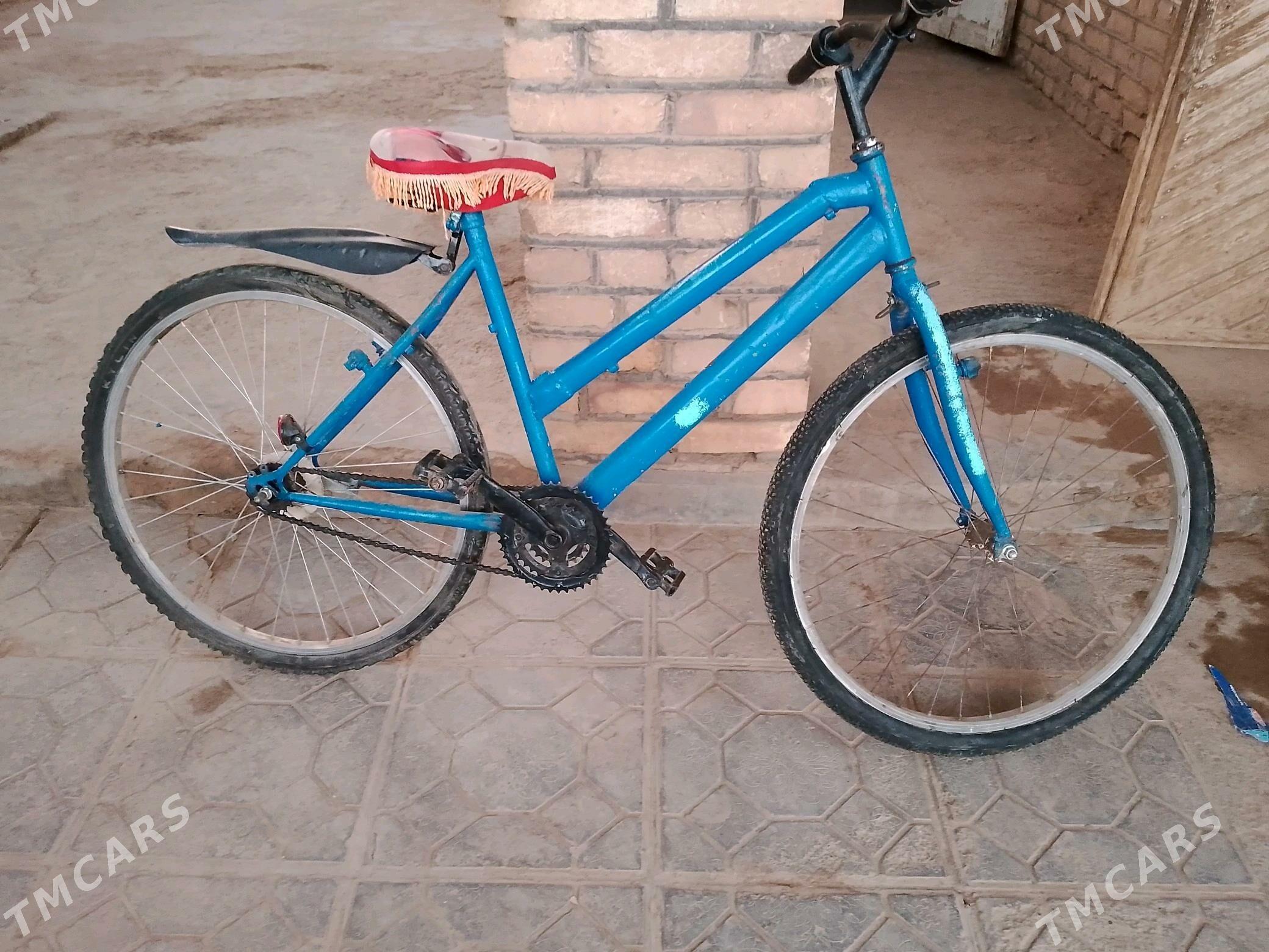 tigir - Babadaýhan - img 2