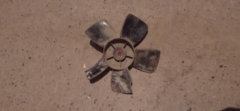 Парник 17см 40 TMT - Дашогуз - img 2