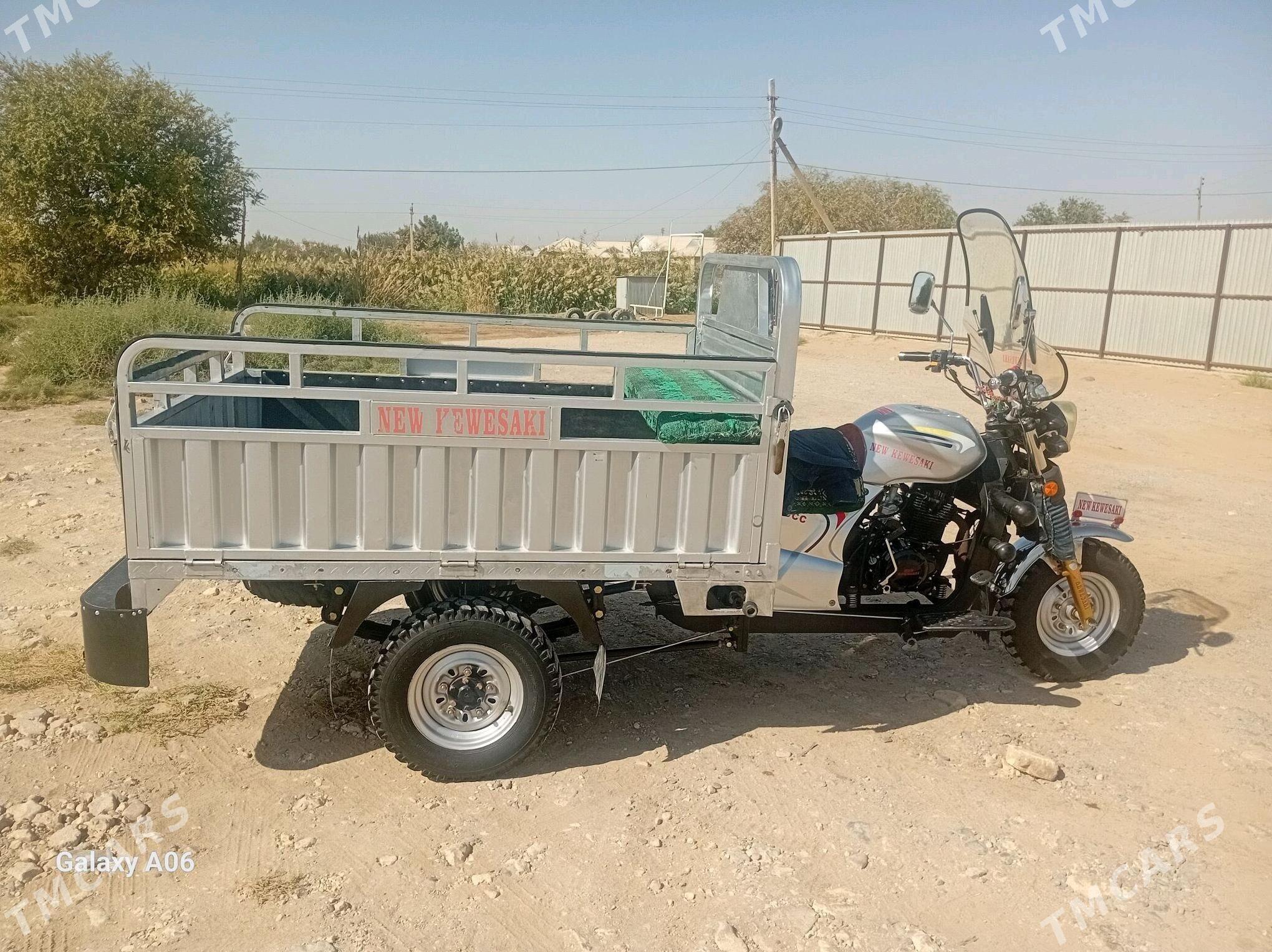 Fekon FK200-14G 2023 - 25 400 TMT - Sakarçäge - img 3