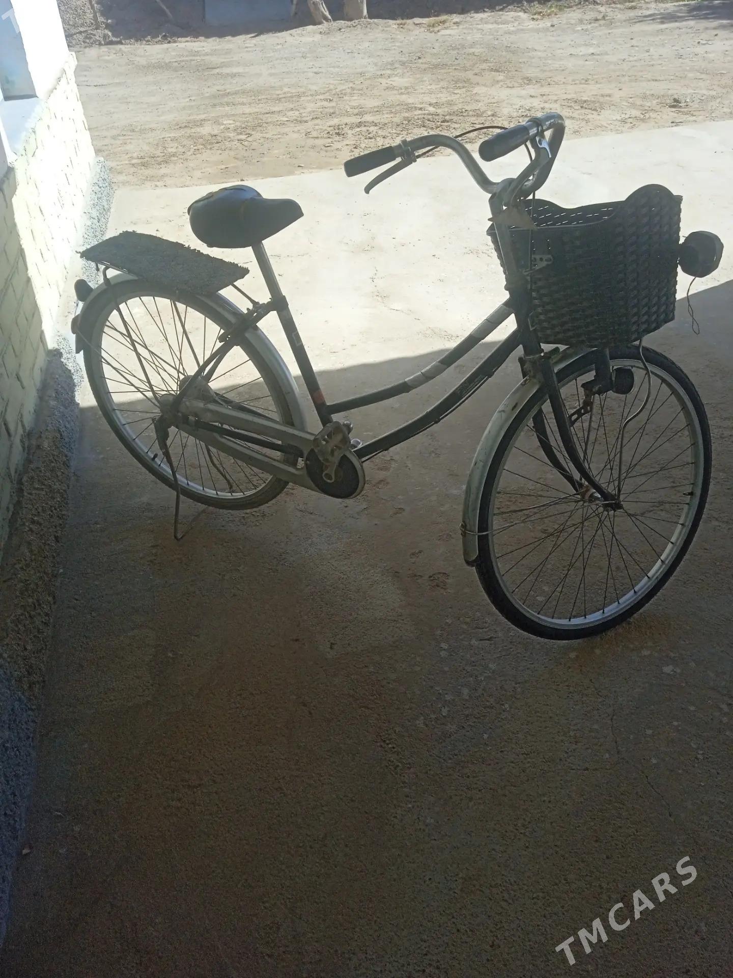 tigir - Babadaýhan - img 6