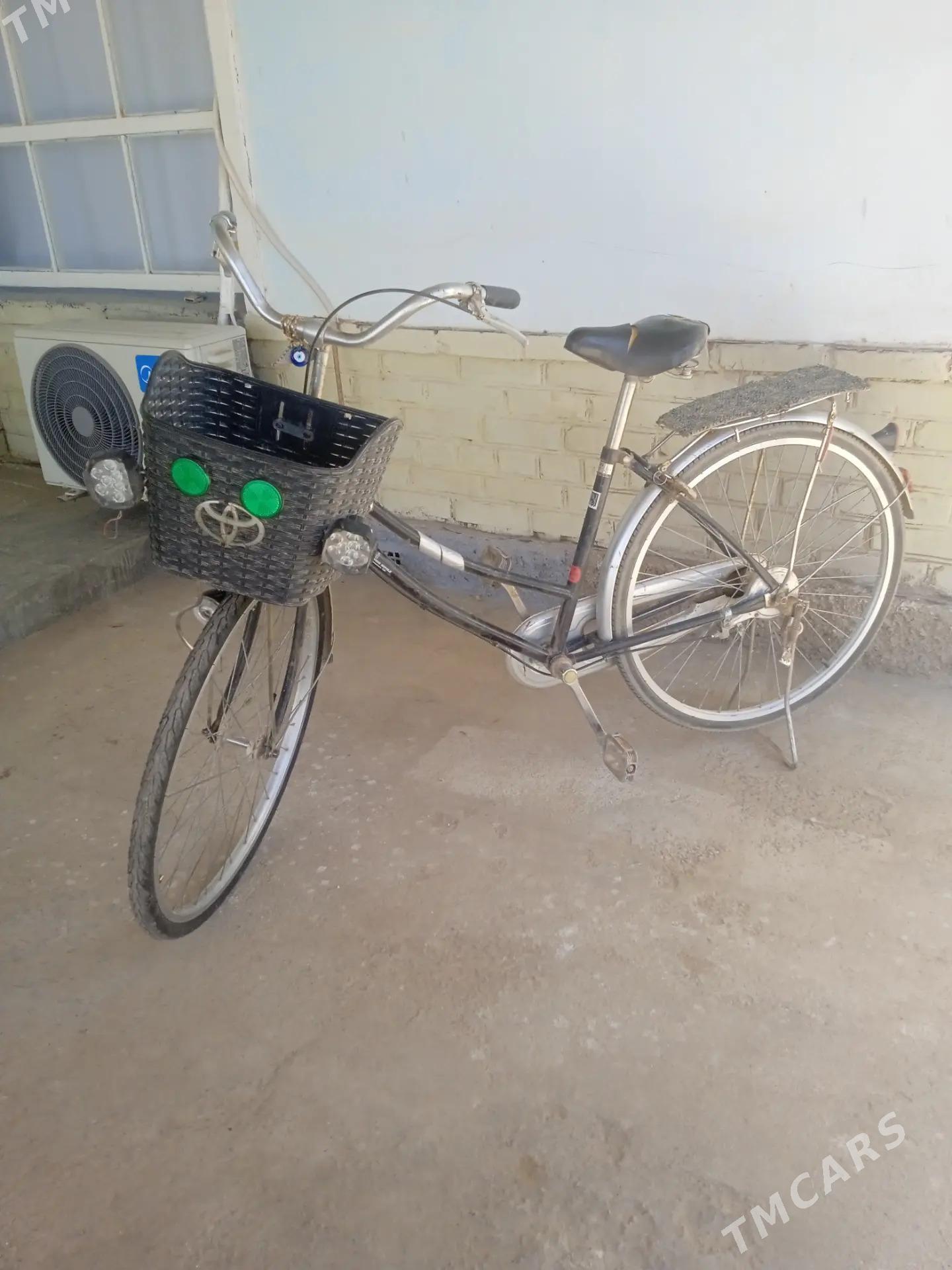 tigir - Babadaýhan - img 1