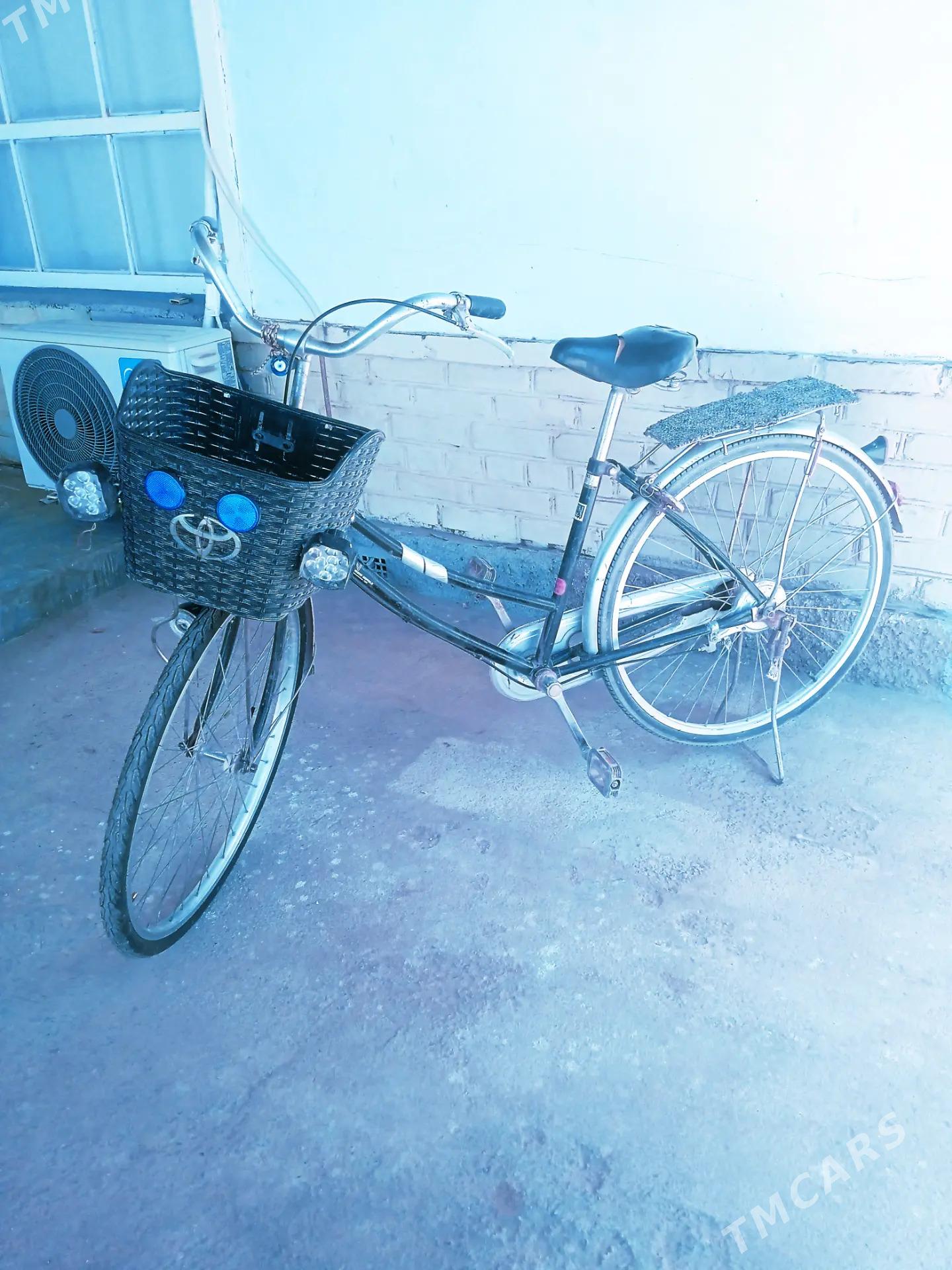 tigir - Babadaýhan - img 2