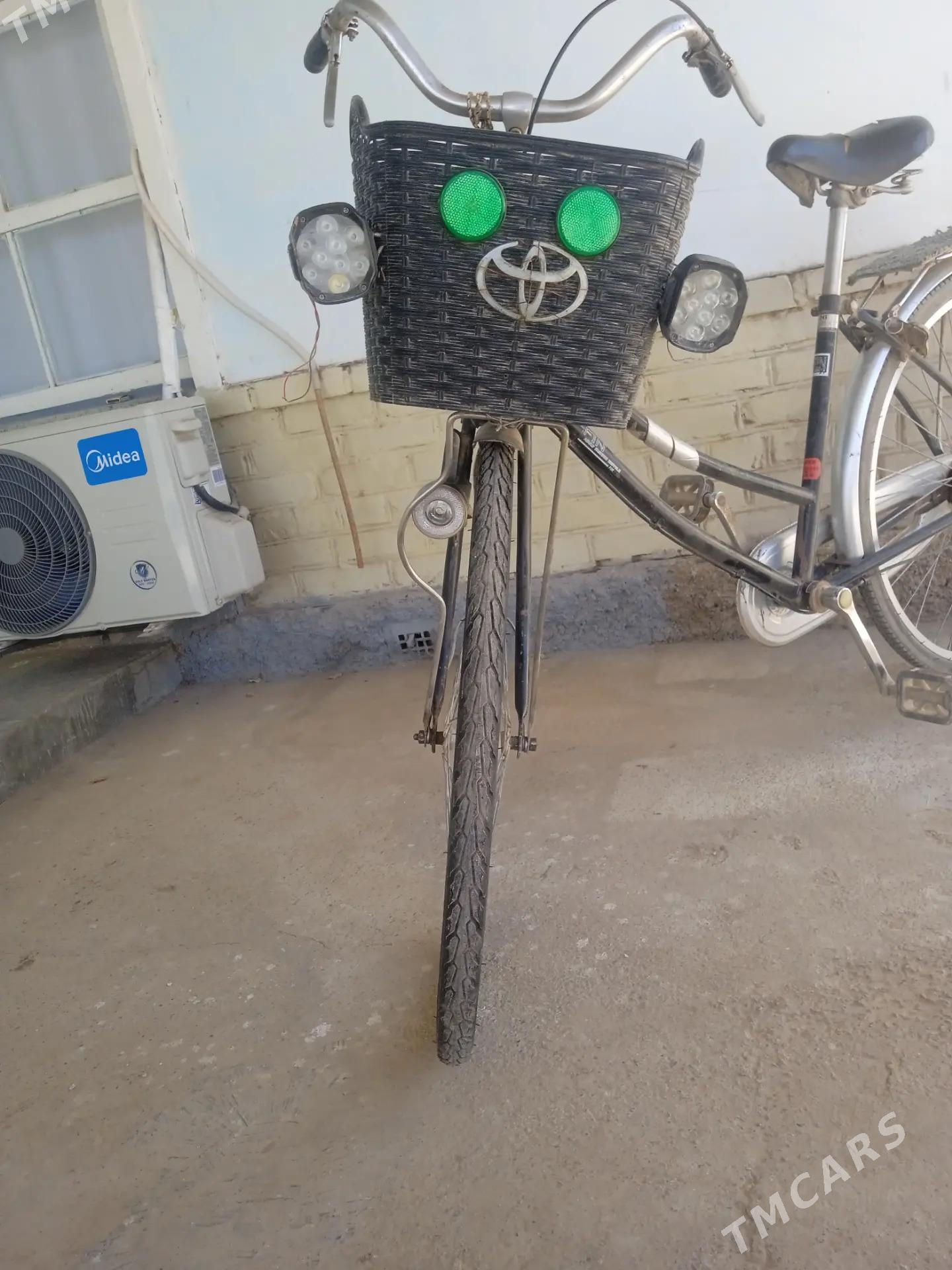 tigir - Babadaýhan - img 3