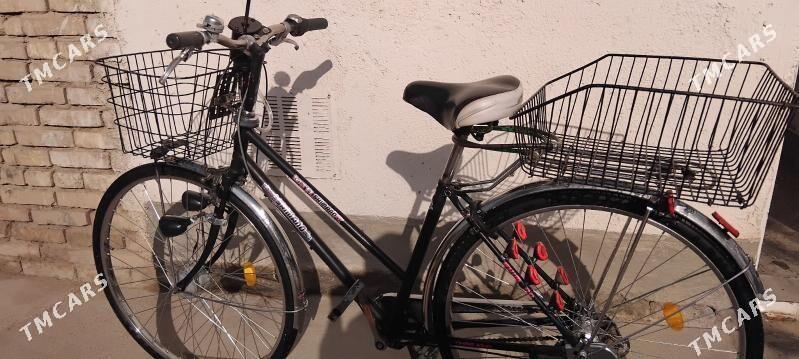 welsepit 28 lik - Tejen - img 1