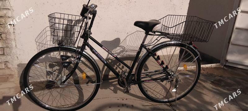 welsepit 28 lik - Теджен - img 2