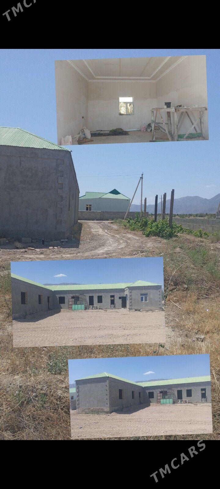 gokdepe jay - Гёкдепе - img 2