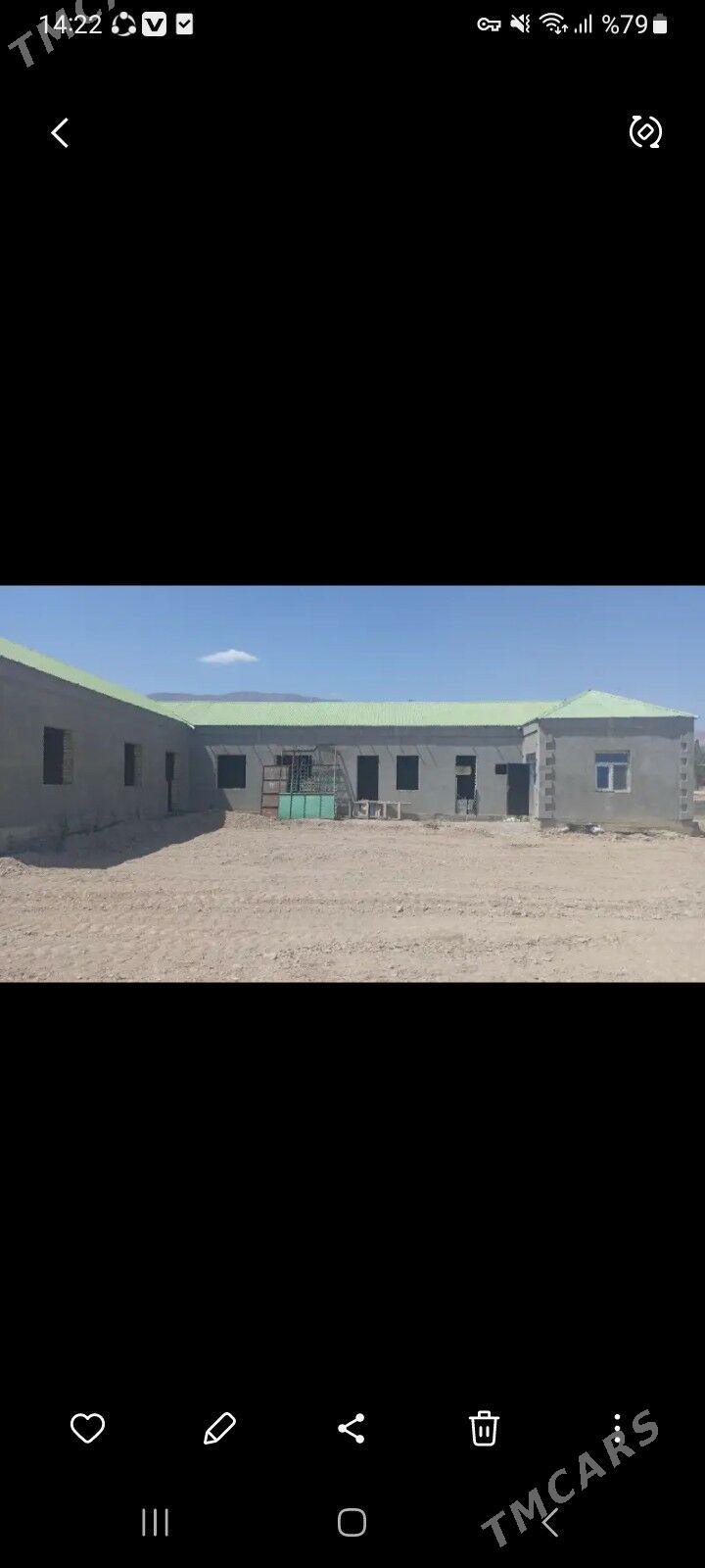 gokdepe jay - Гёкдепе - img 3