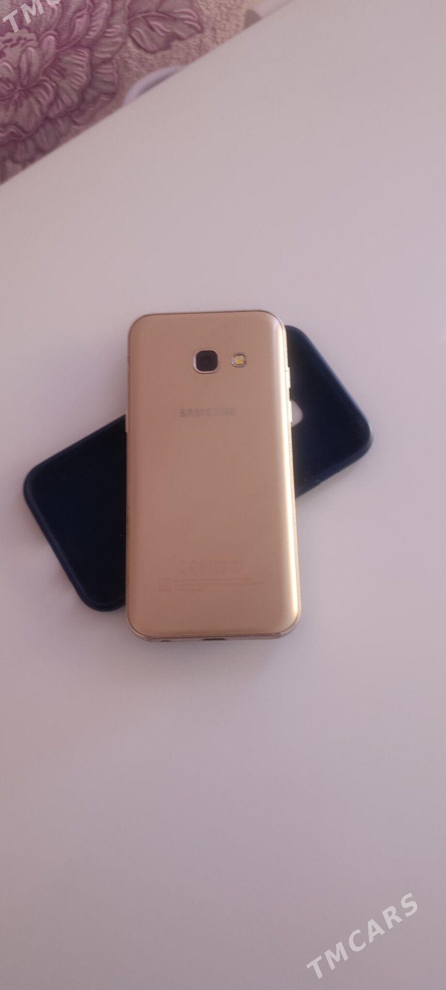 A3 2017 - Mary - img 2