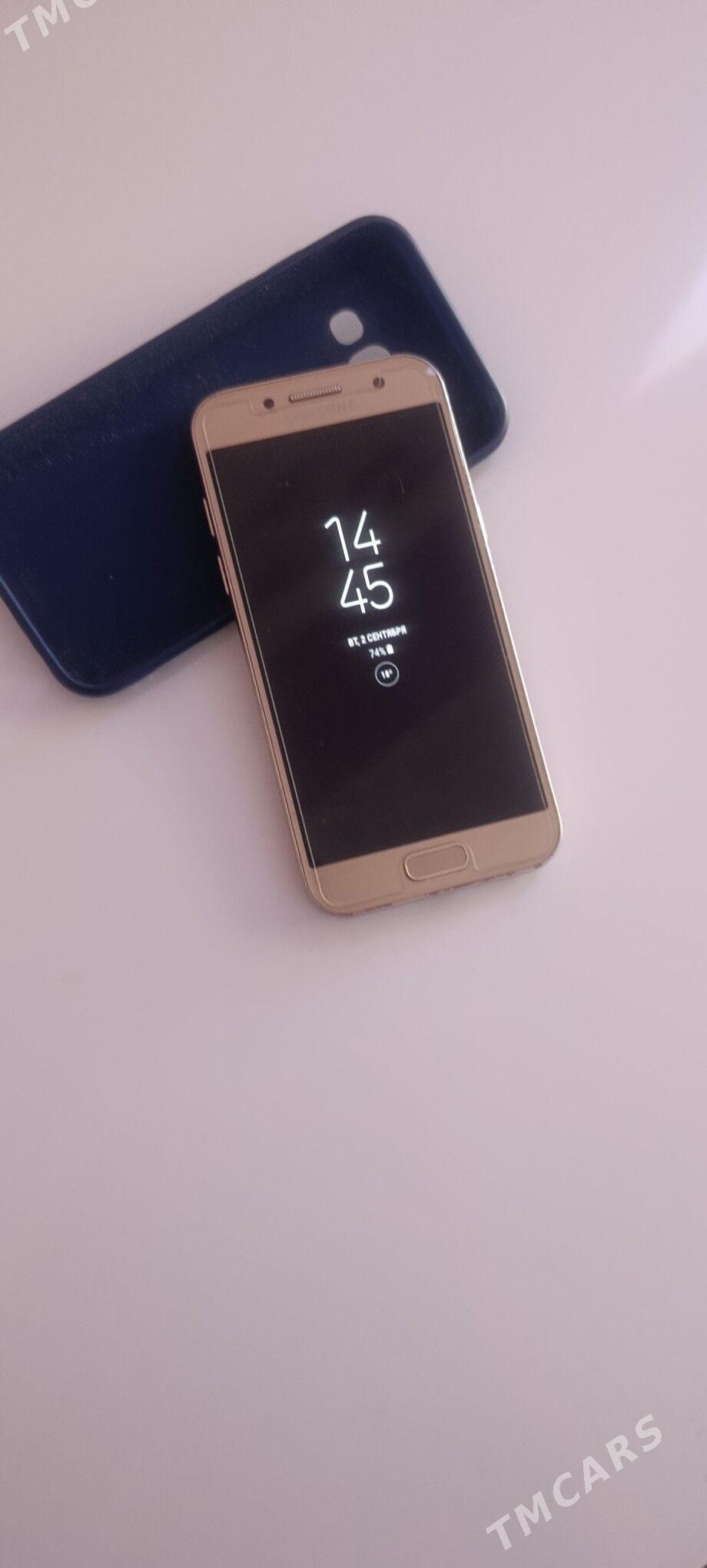 A3 2017 - Mary - img 1