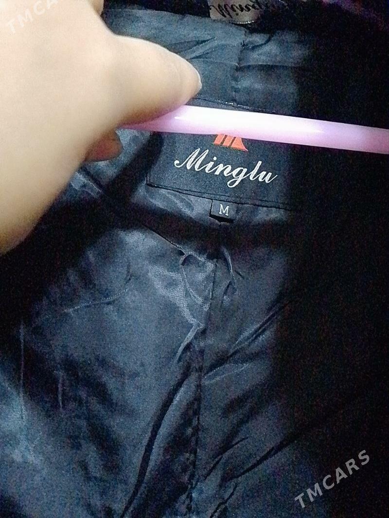 Suba - Daşoguz - img 3