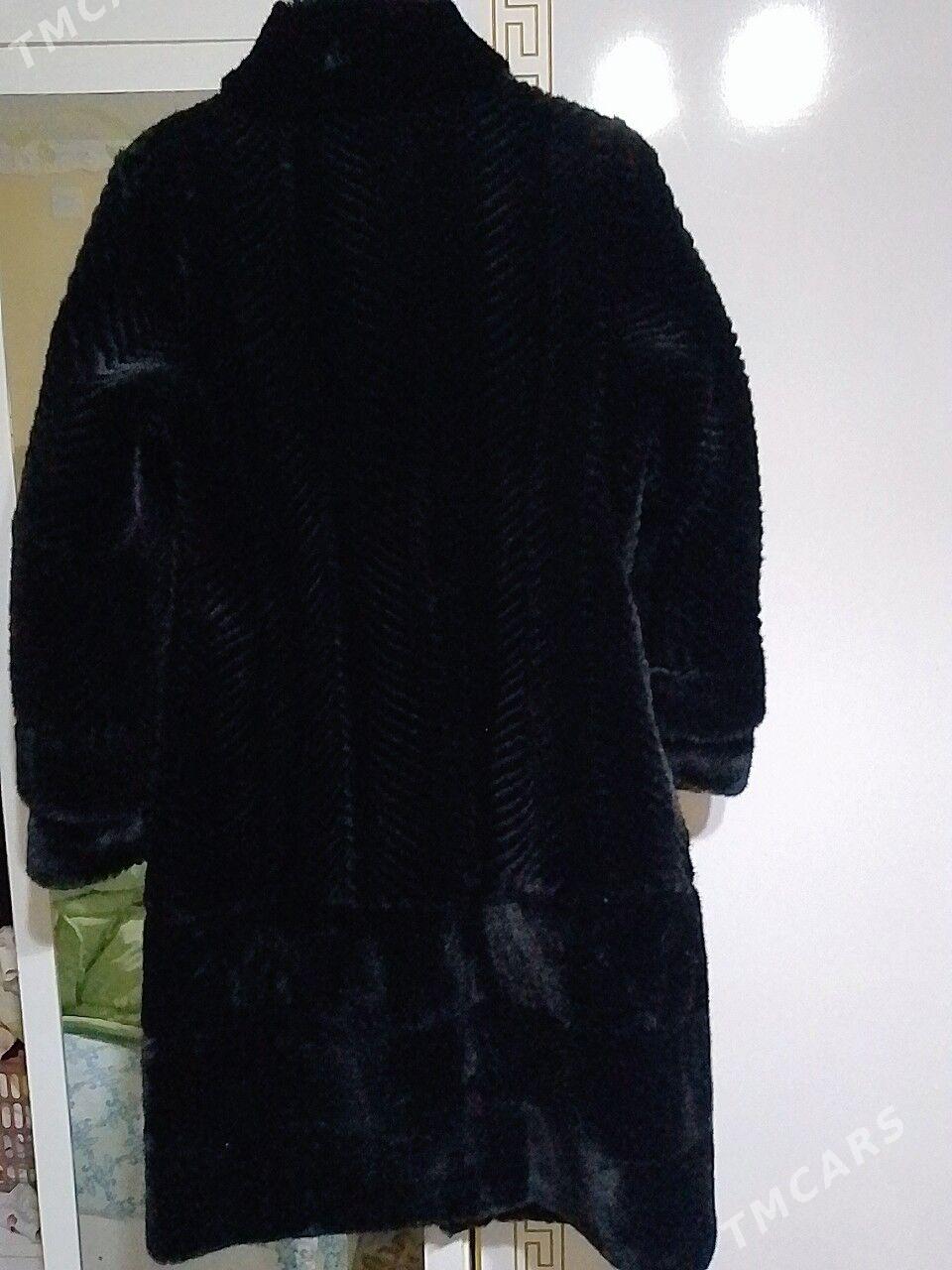 Suba - Daşoguz - img 4