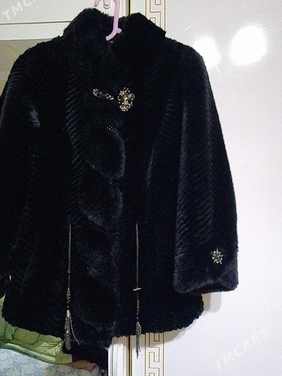 Suba - Daşoguz - img 5