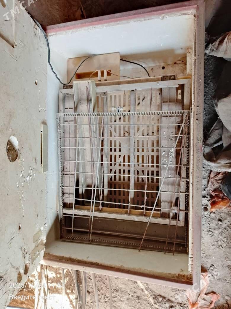 inkubator... - Türkmenabat - img 2