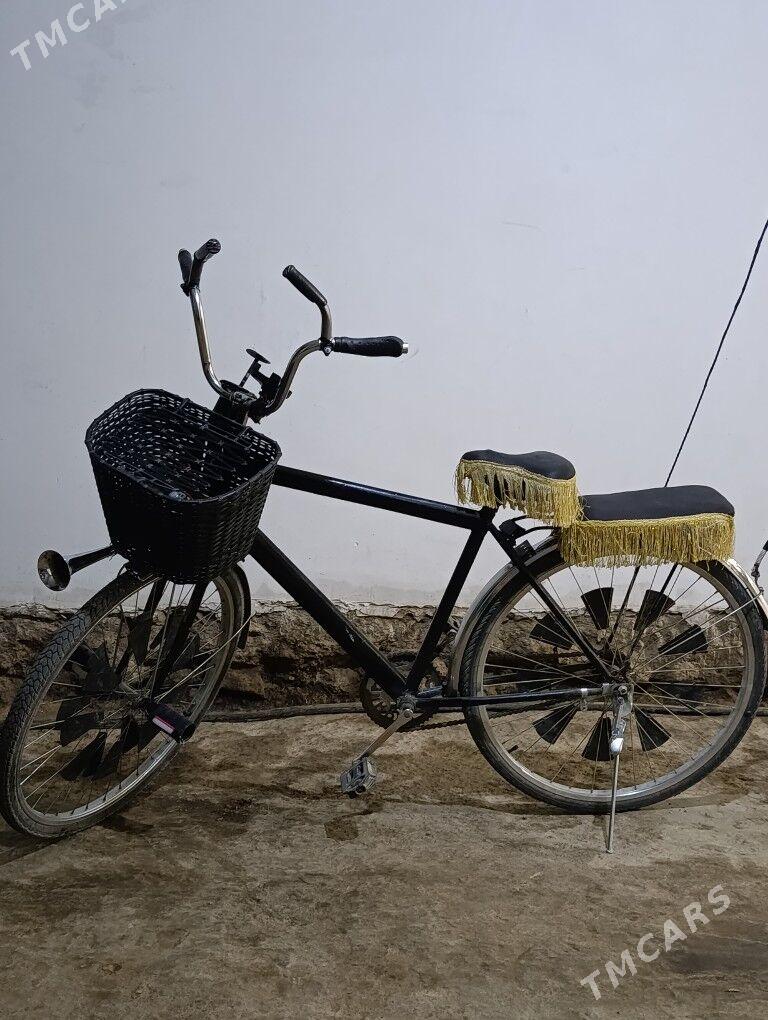 Ural tiger - Köneürgenç - img 1