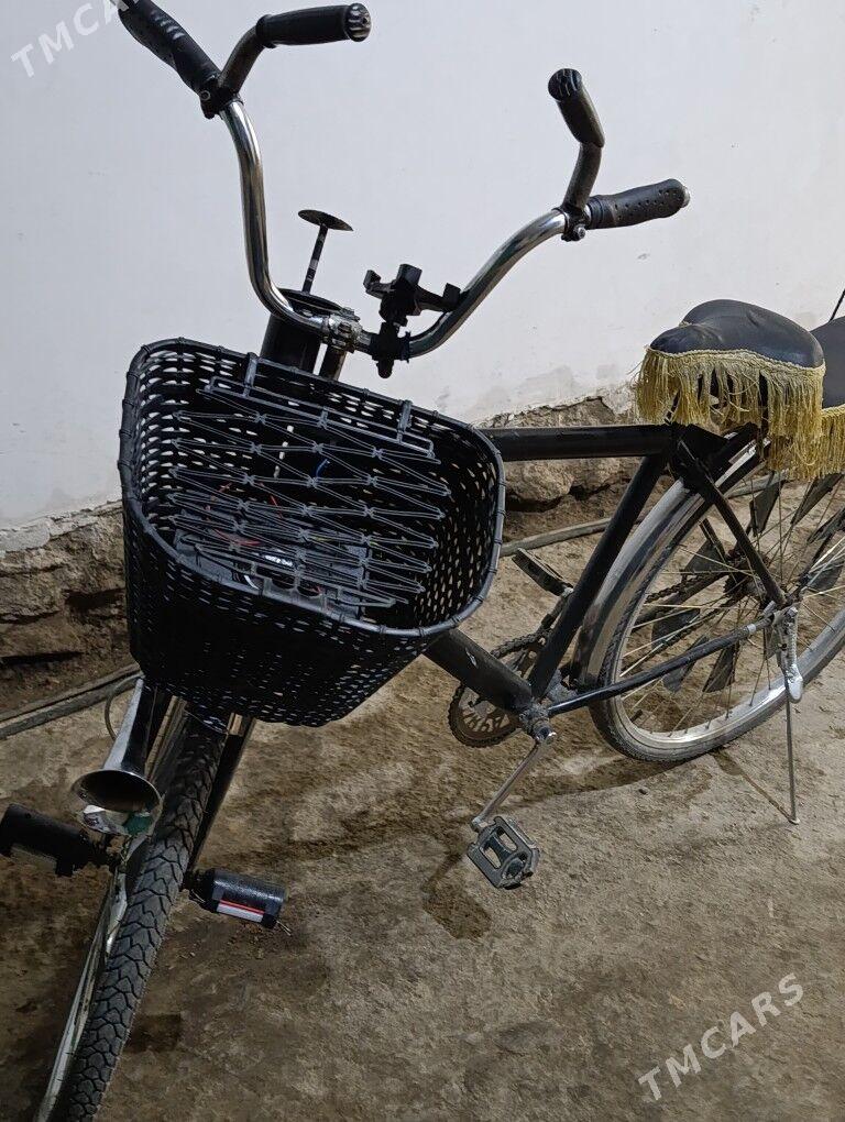 Ural tiger - Köneürgenç - img 2