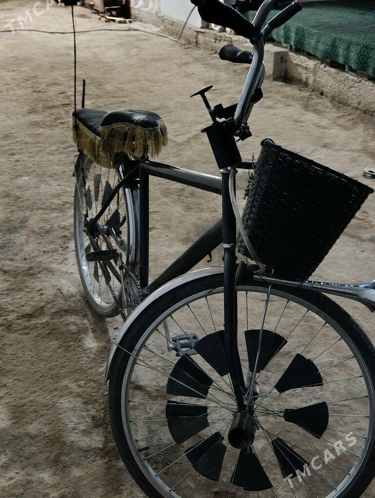 Ural tiger - Köneürgenç - img 4