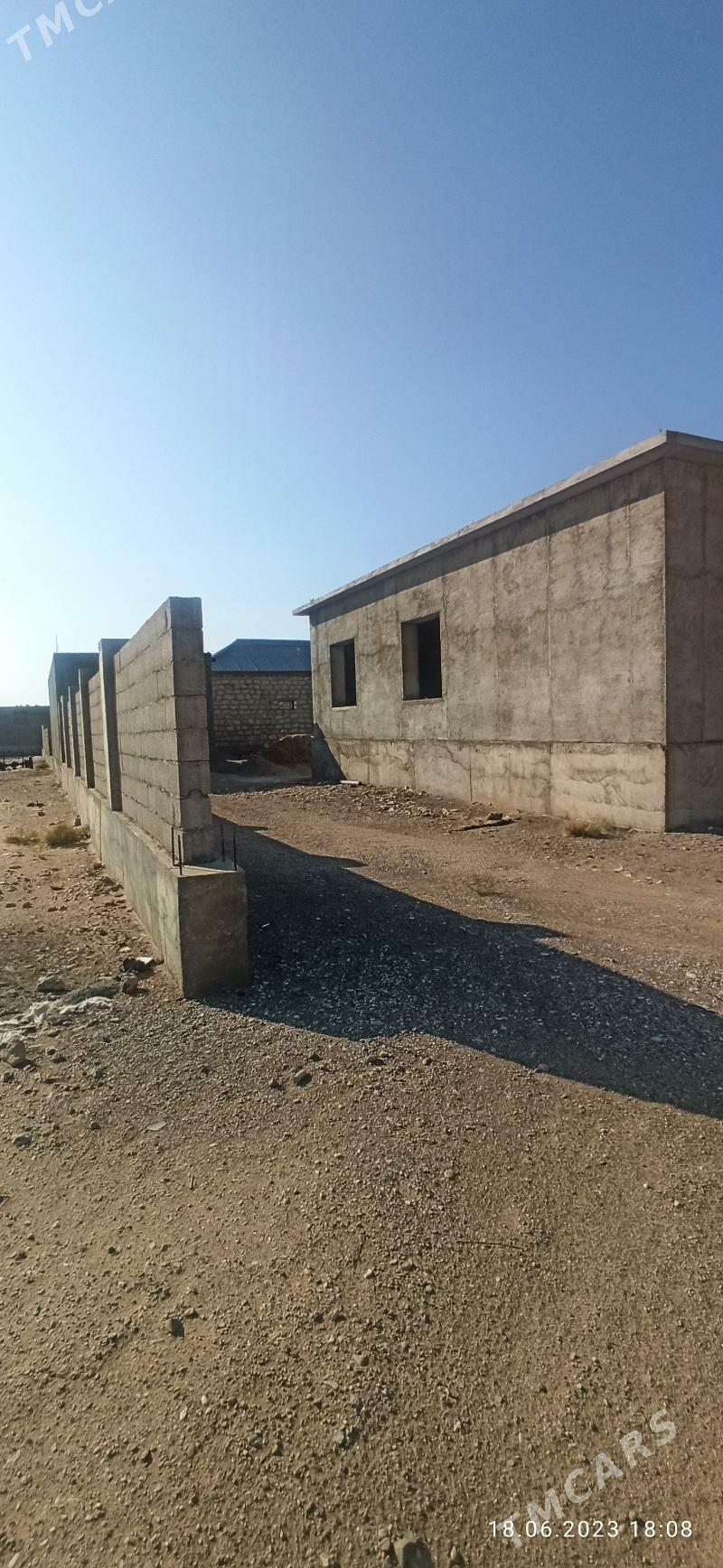 jaý - Jebel - img 3