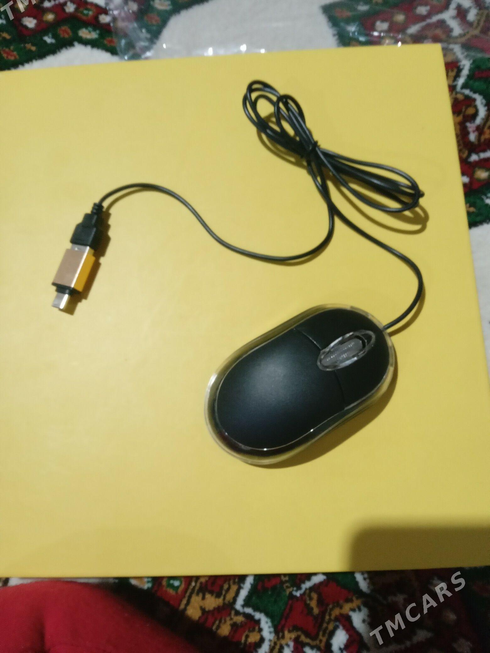 Planset x-prime - Köneürgenç - img 6