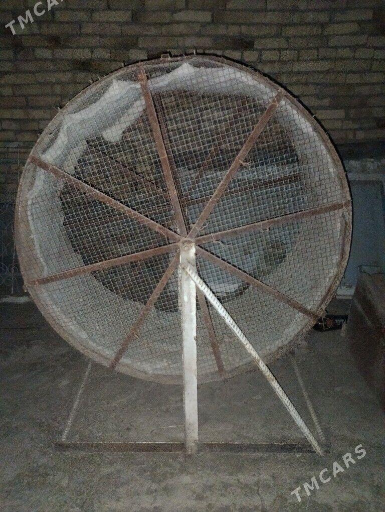 хораз дег - Türkmenabat - img 3